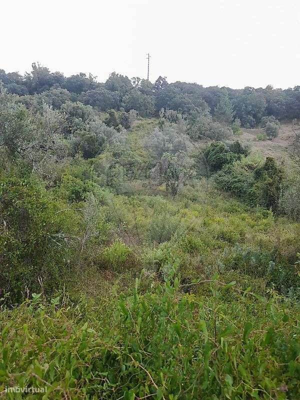 Terreno  para venda - Grande imagem: 5/7