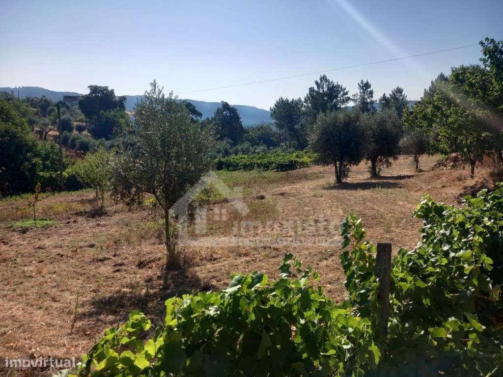 Moradia T4 pronta a habitar em Figueiró dos Vinhos-25