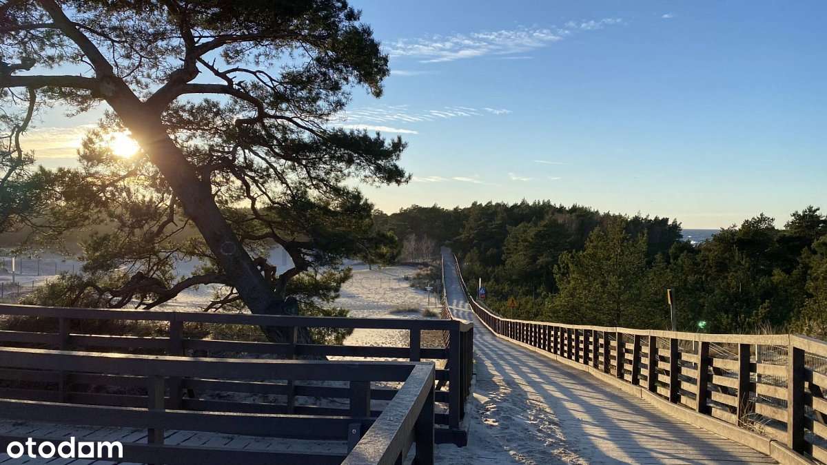 DZIAŁKI SIEDLISKOWE NAD MORZEM PONAD 1 HA | GRZYBOWO/Kołobrzeg | MPZP - Pełny obrazek: 4/15