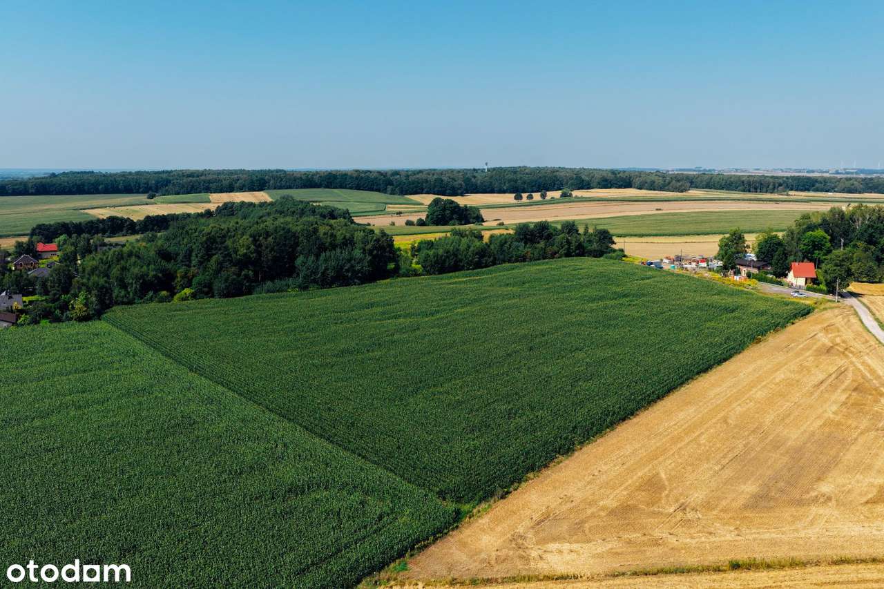 Działki na sprzedaż powierzchnie od 656 do 813 m2-6