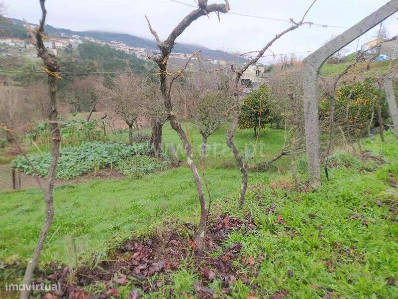 Terreno / Baião, Campelo e Ovil - Grande imagem: 5/9