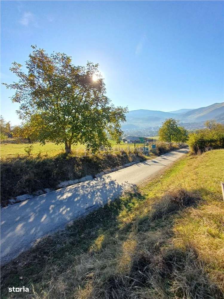 Teren de vanzare in Rasinari posibilitate de racordare la curentul ele - Imagine principală: 4/9