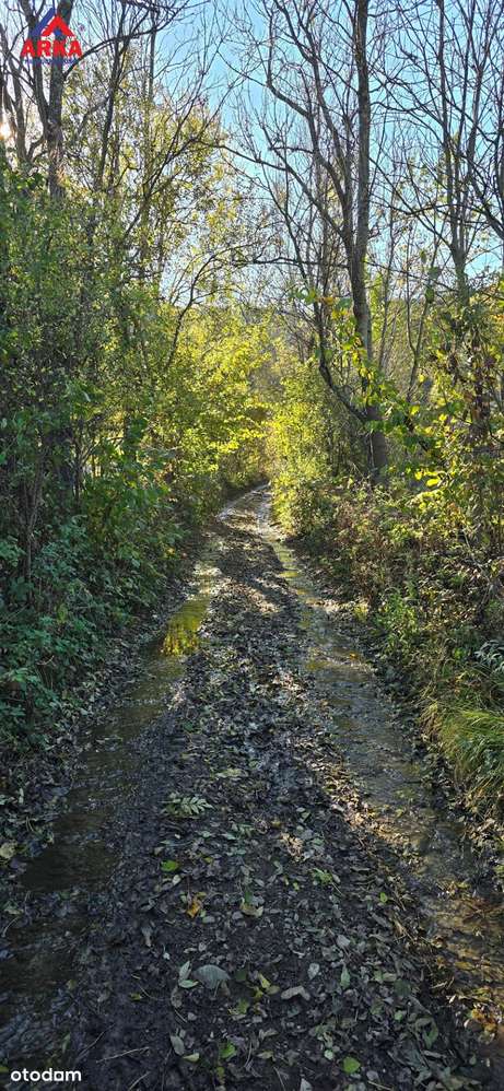 Duża działka budowlana w cichej okolicy | Okazja!-6