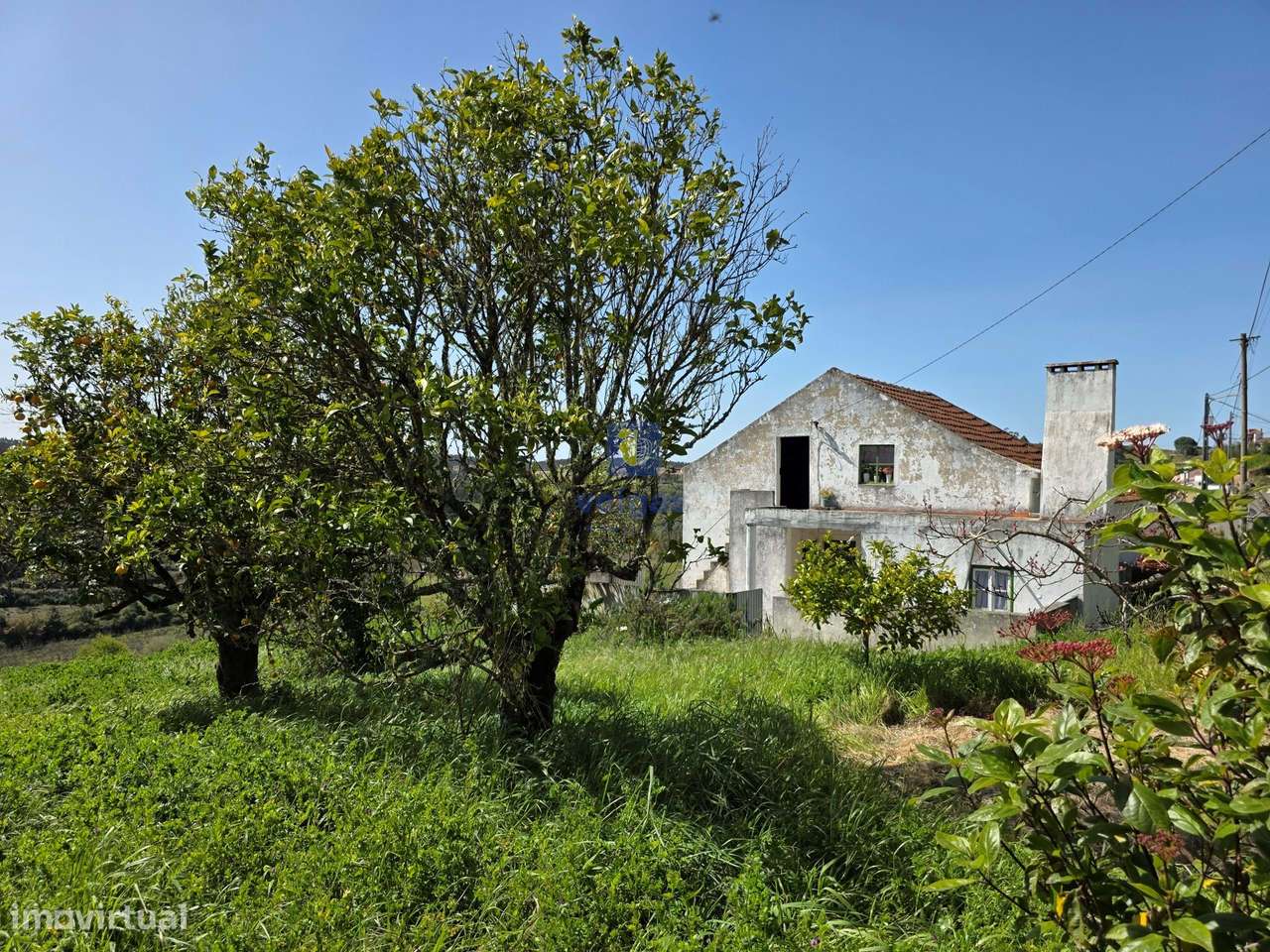 Quintinha com 12.484m2 de Terreno e 260m2 de área bruta. Possibilidad-18