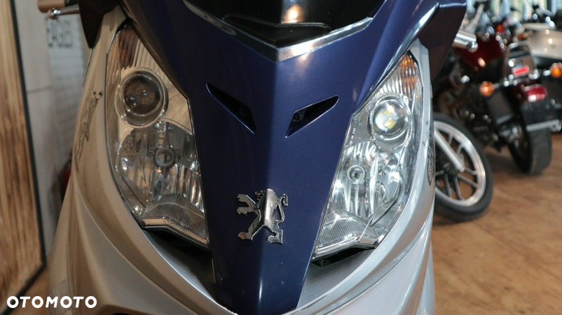 Peugeot Satelis - 6