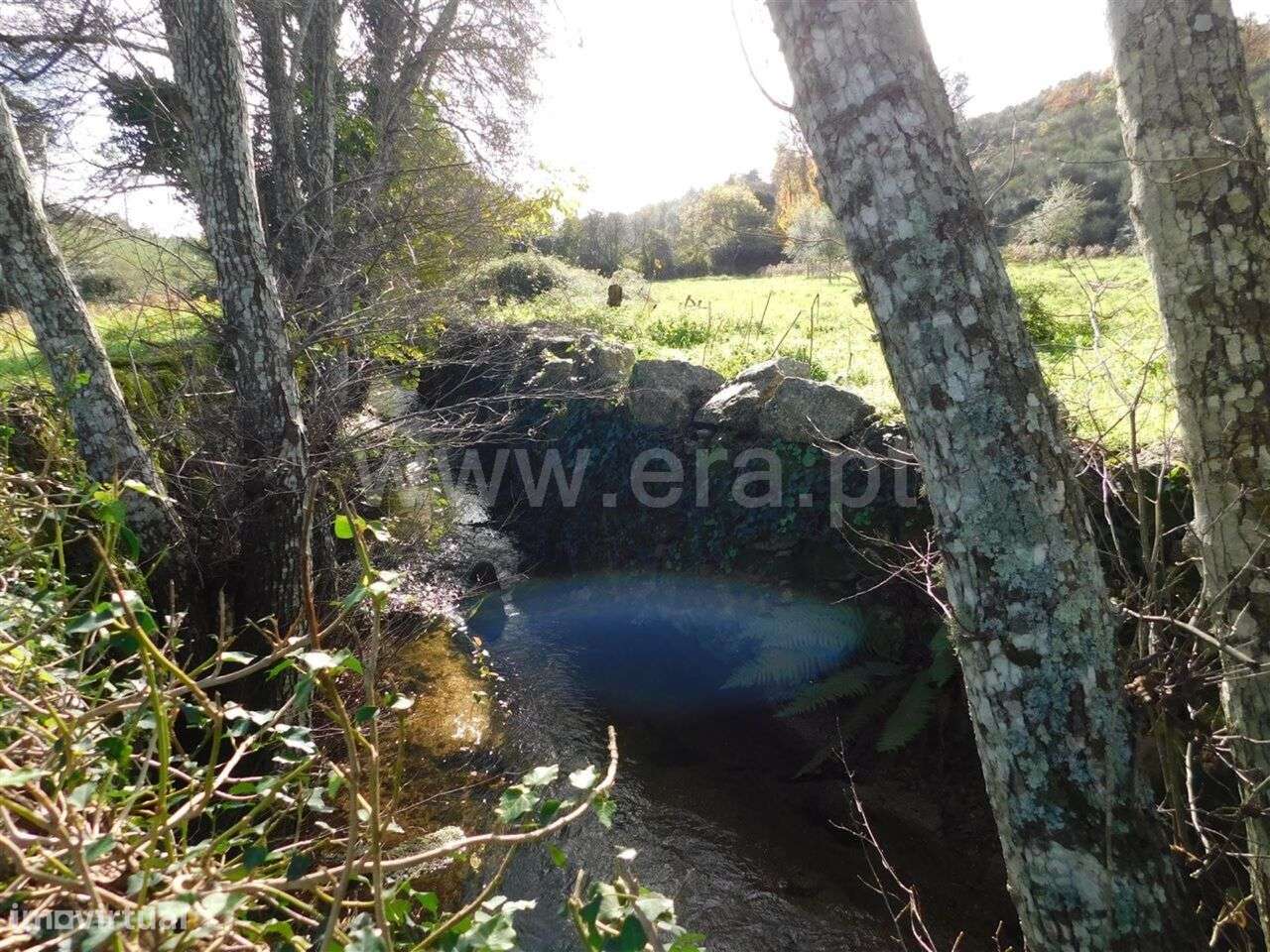 Quinta / Fundão, Vale Prazeres - Grande imagem: 5/10