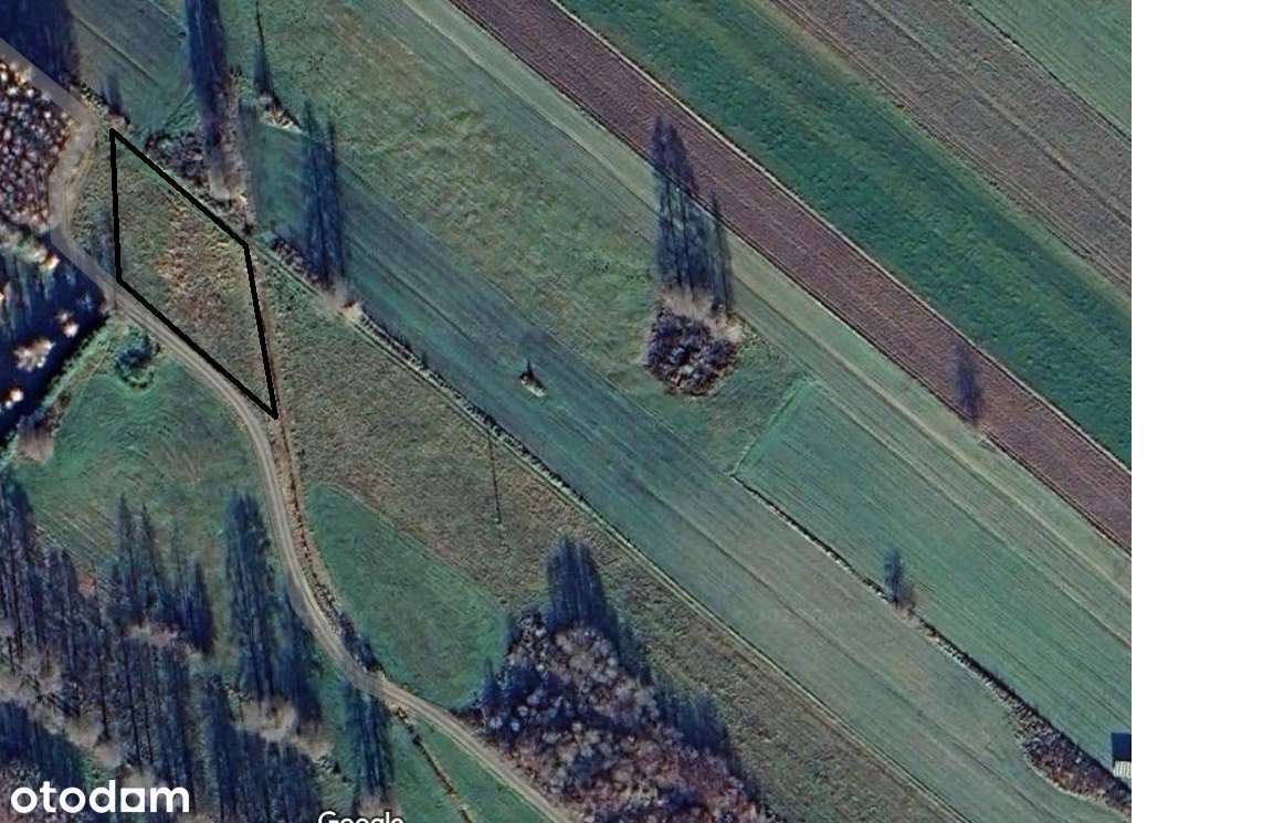 Sprzedam działkę na wsi - bezpośrednio