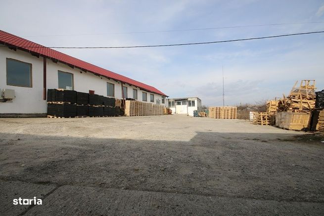 Vindem 2 Hale Si Teren 2736 mp Magura Vizavi de Farbe-12
