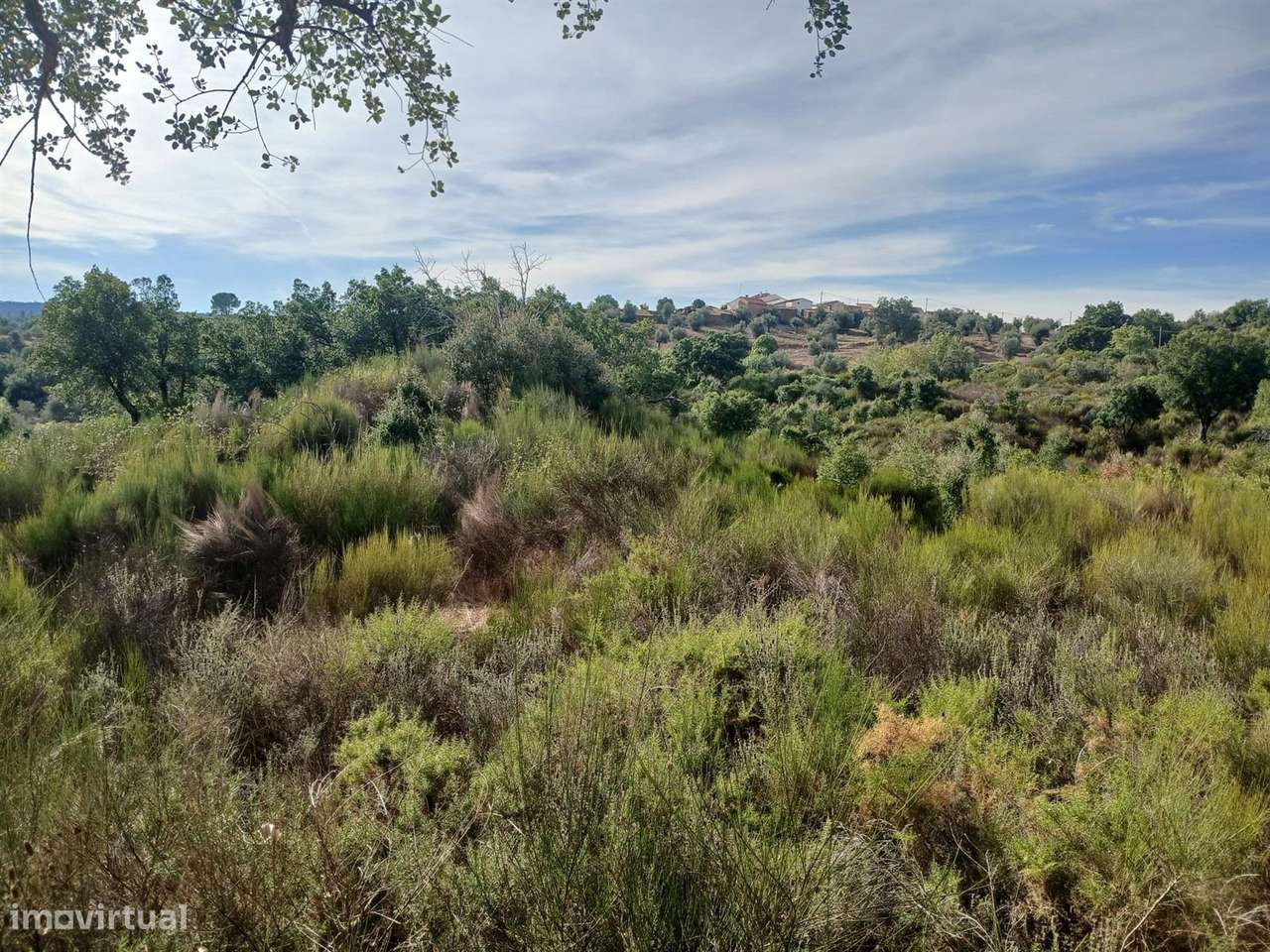 Terreno - Grande imagem: 4/6