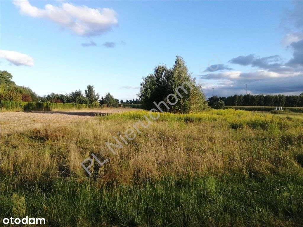 Nieduża działka budowlana na uboczu-2