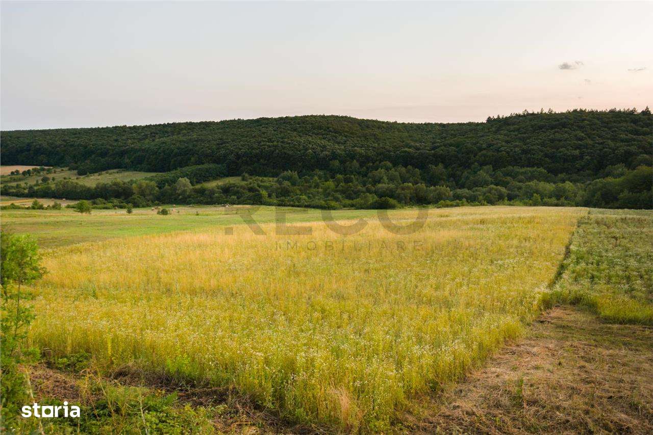 RECO Teren extravilan 11500 mp -Lazareni - Imagine principală: 1/5