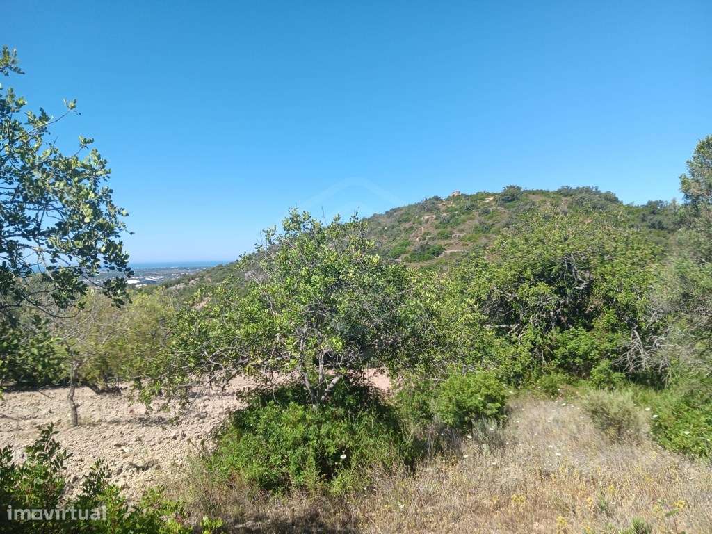 Terreno com ruína, vista mar, Santa Bárbara de Nexe, Faro, Algarve-19