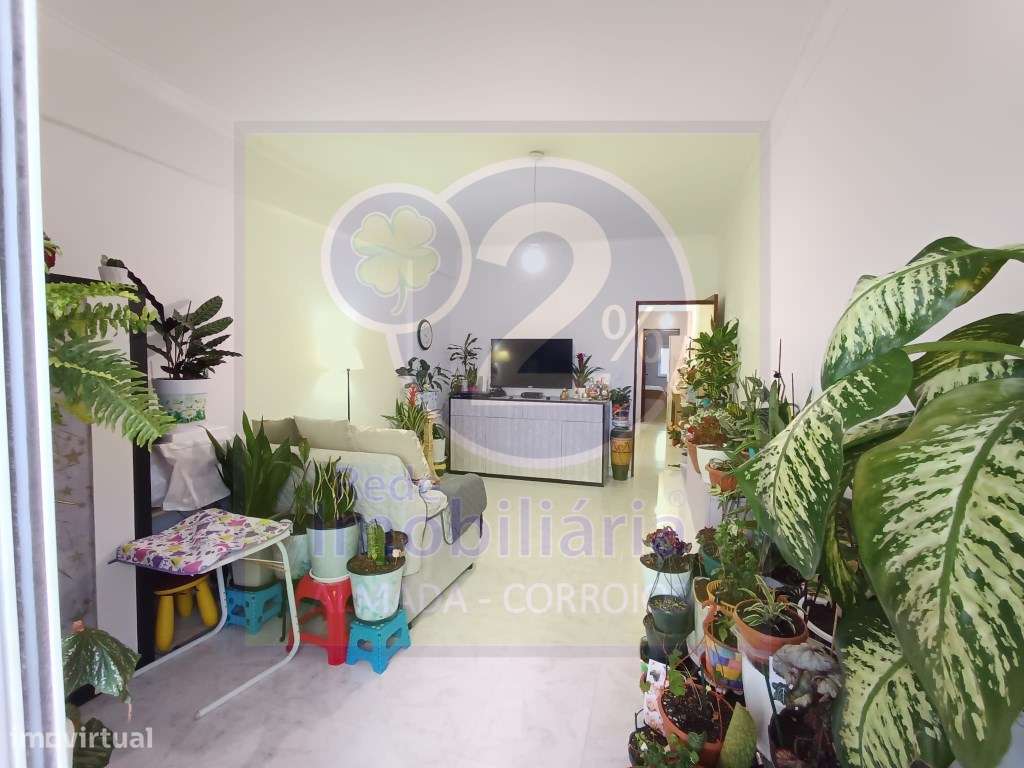 T1, Bem localizado - Grande imagem: 2/12