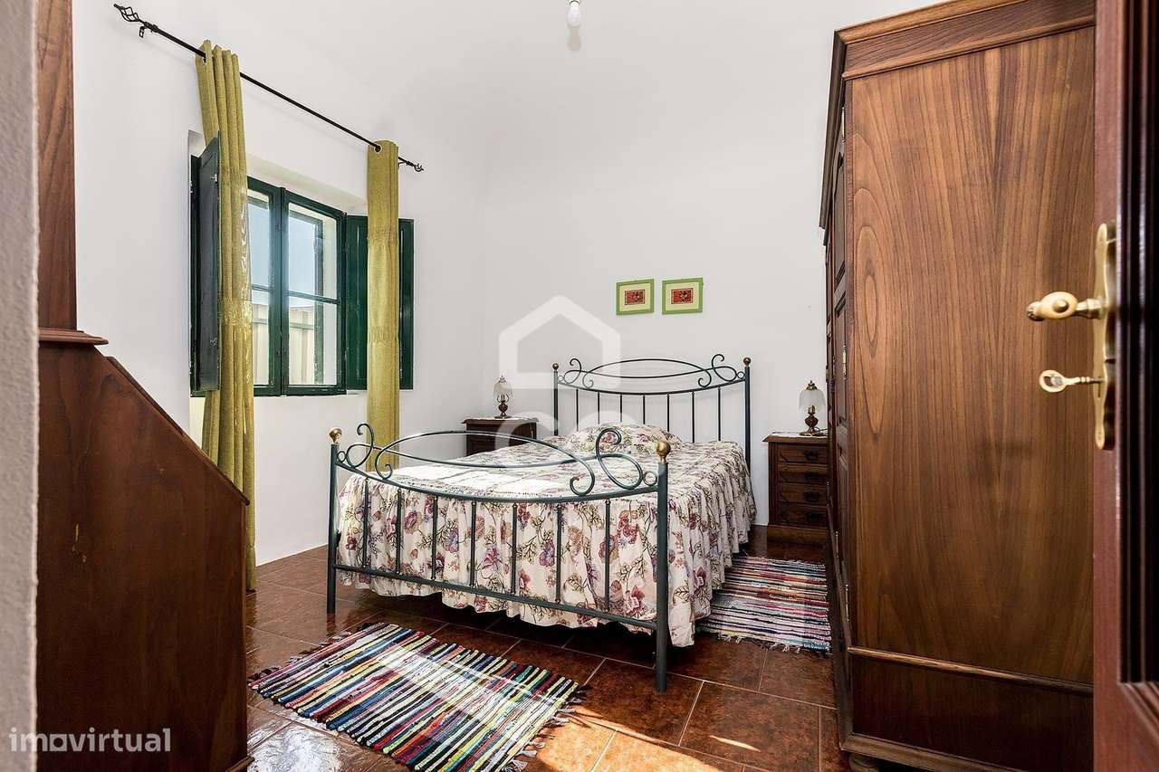 Quinta de 9250m2 c/ Moradia T4 térrea, anexo e armazém | Azaruja-13