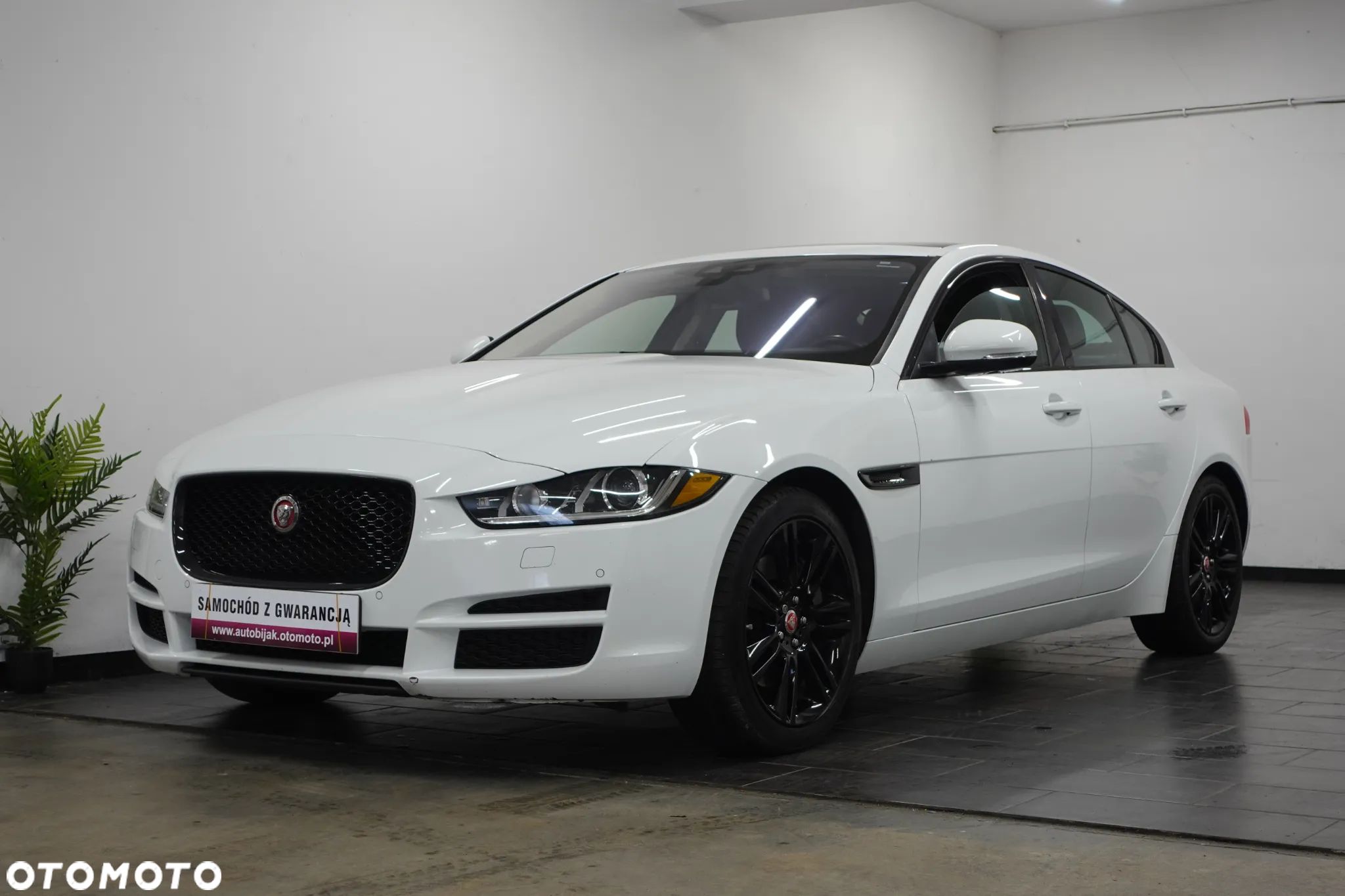 Jaguar XE 2.0 T Prestige - 1