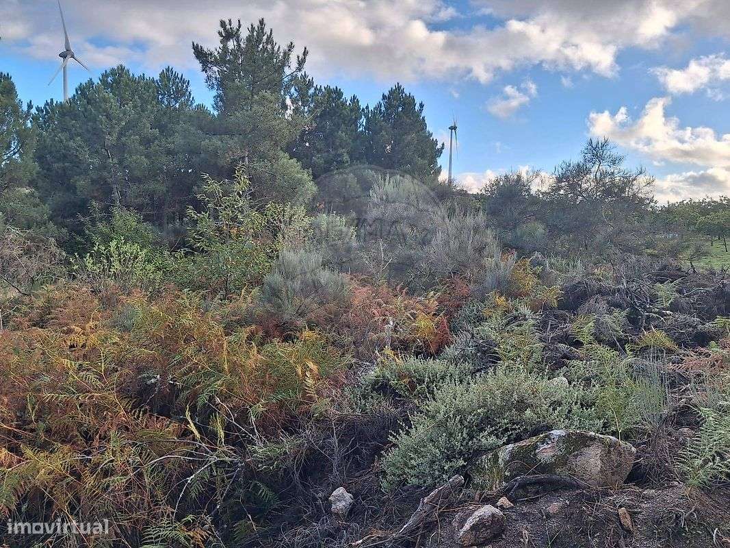 Terreno  para venda - Grande imagem: 4/5