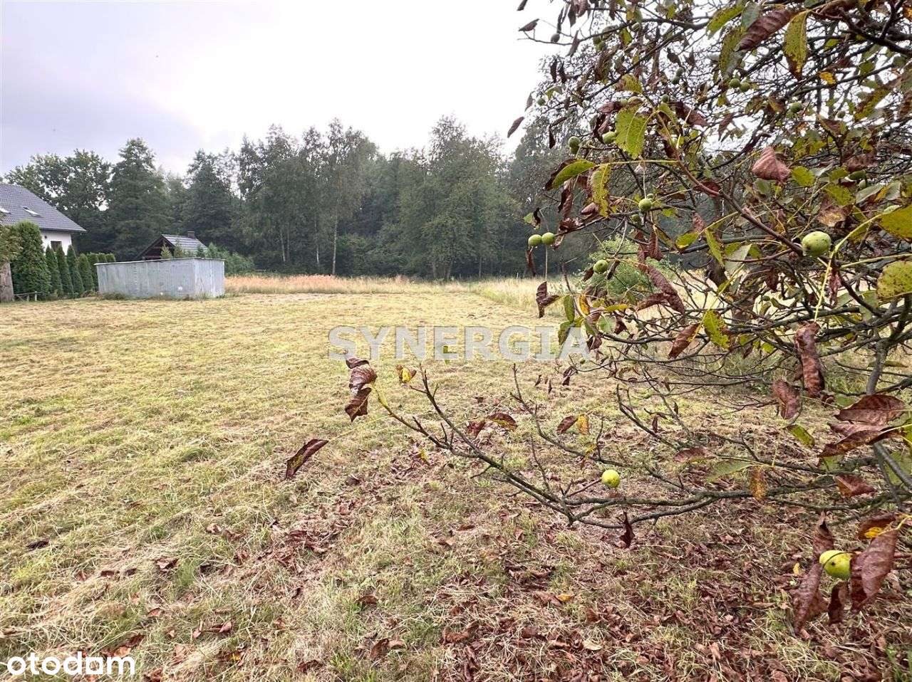 Działka budowlana blisko lasu, bez prowizji-5