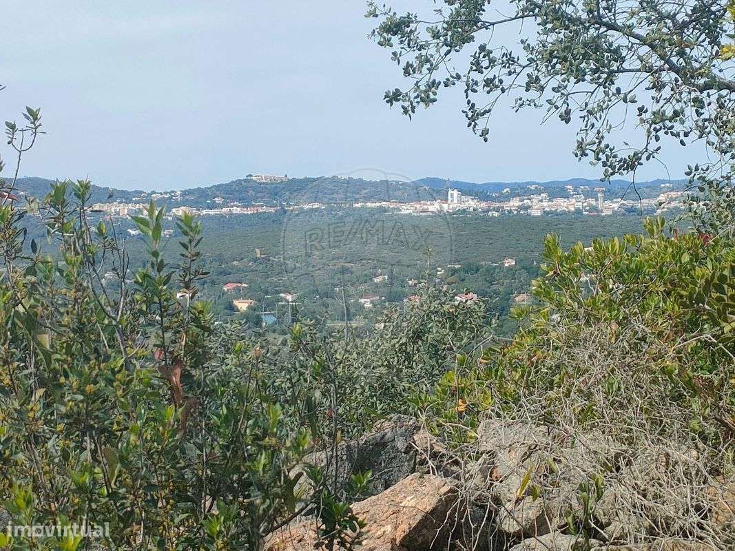 Terreno  para venda - Grande imagem: 3/9