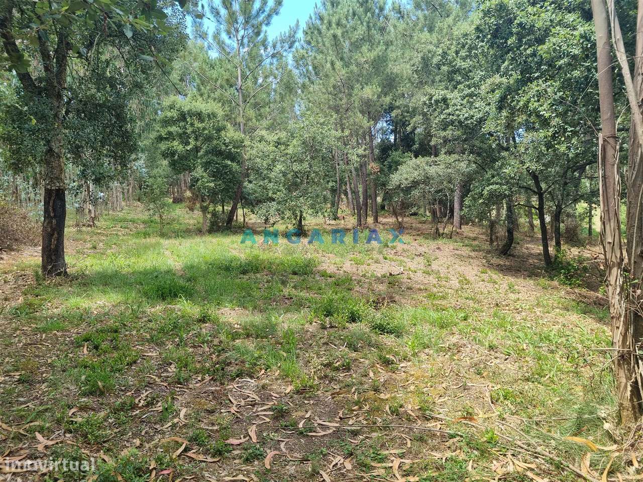 ANG1153  - Terreno para Venda em Porto de Mós - Grande imagem: 4/29