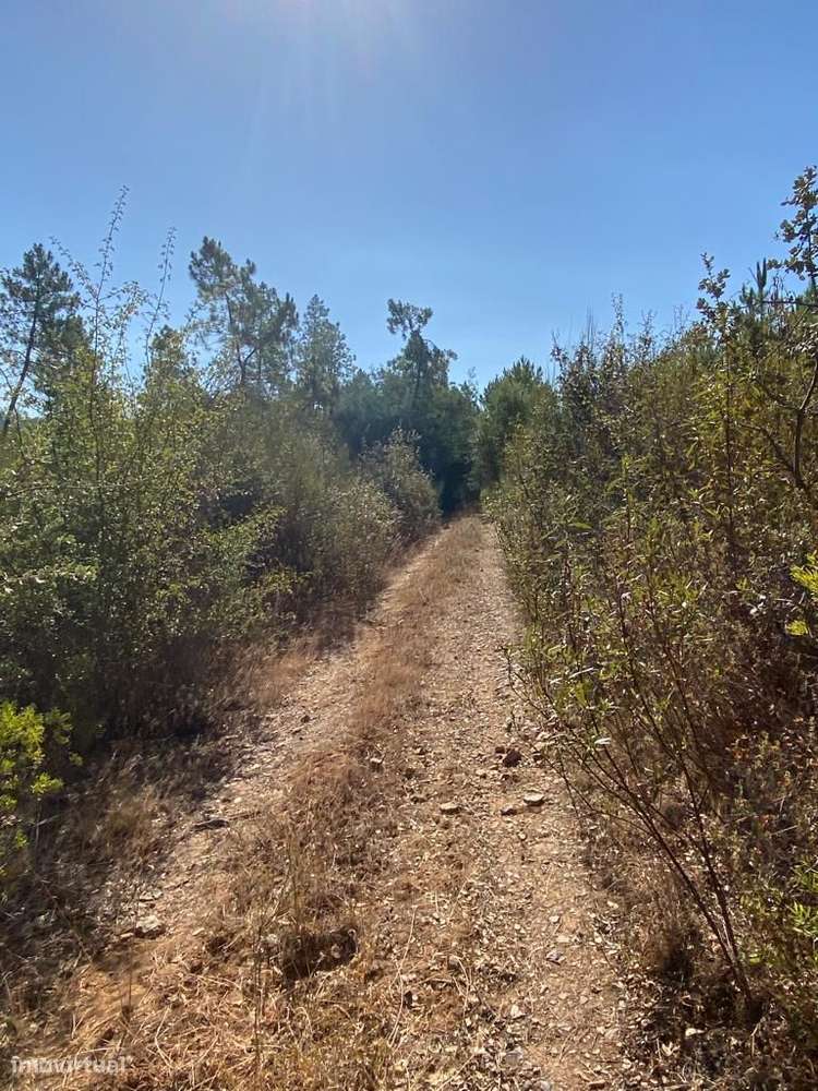 Terreno - Grande imagem: 2/9