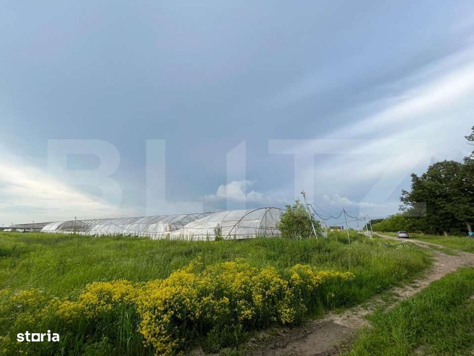 Teren partial intravilan 23.500 mp, apa, curent si supraveghere video, - Imagine principală: 2/11