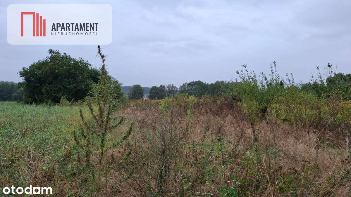 Działka Pod Zabudowę Mieszkaniową Z Warunkami Zab - Pełny obrazek: 5/5