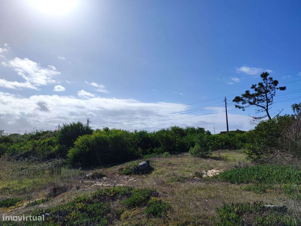 Terreno entre Av. 12 de Julho (EN 109) e Parque Industrial - Grande imagem: 3/10