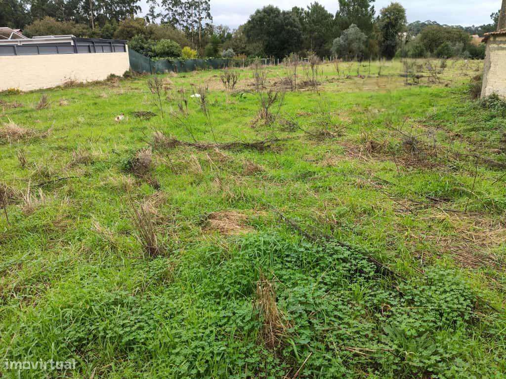 Terreno urbanizável no Paço-Esgueira 24m frente com Vista Campestre-5