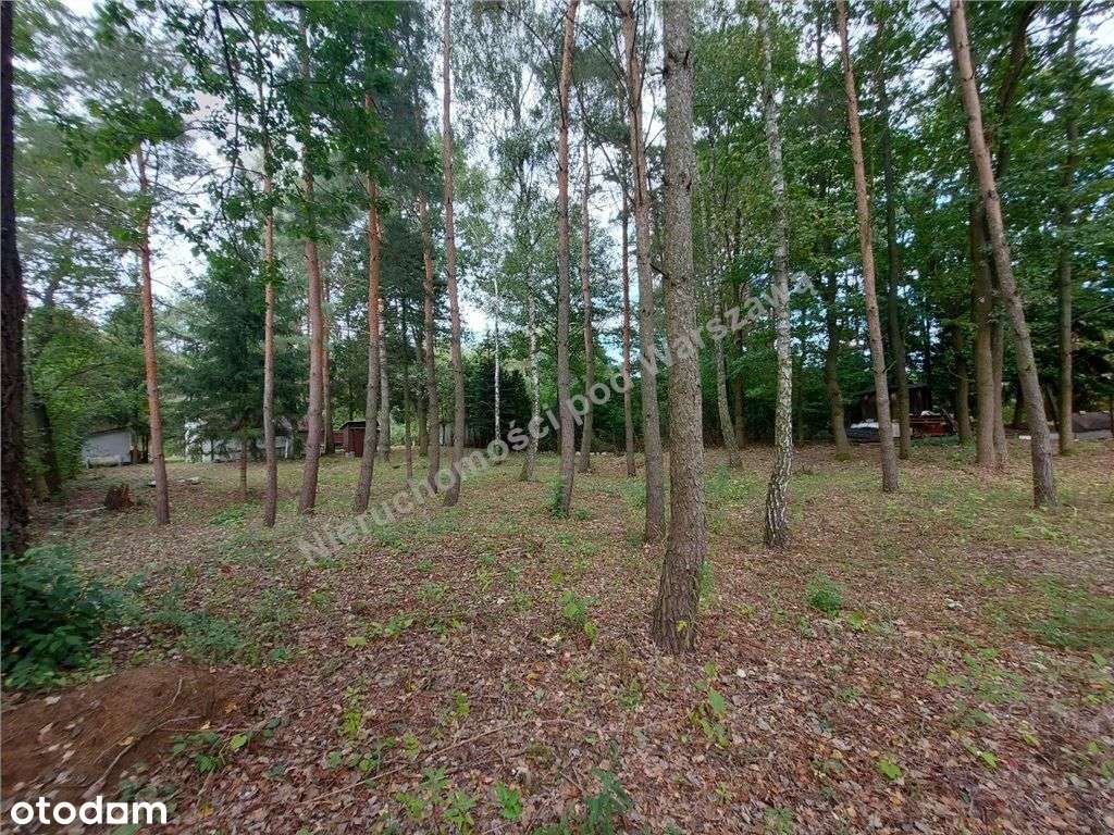 Cisza, Zieleń, Rzeka I Ona - Działka W Łosiu.-17