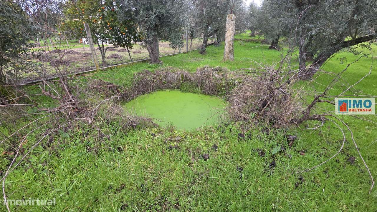 Quintinha em Póvoa de rio de Moinhos- Castelo Branco - Grande imagem: 4/12