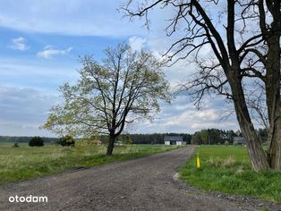 Sprzedam: DZIAŁKA, Tychy, Cielmice