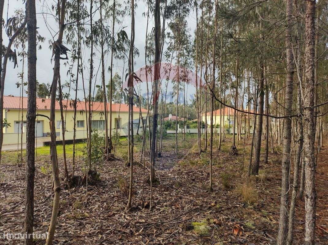 Terreno  para venda - Grande imagem: 3/7