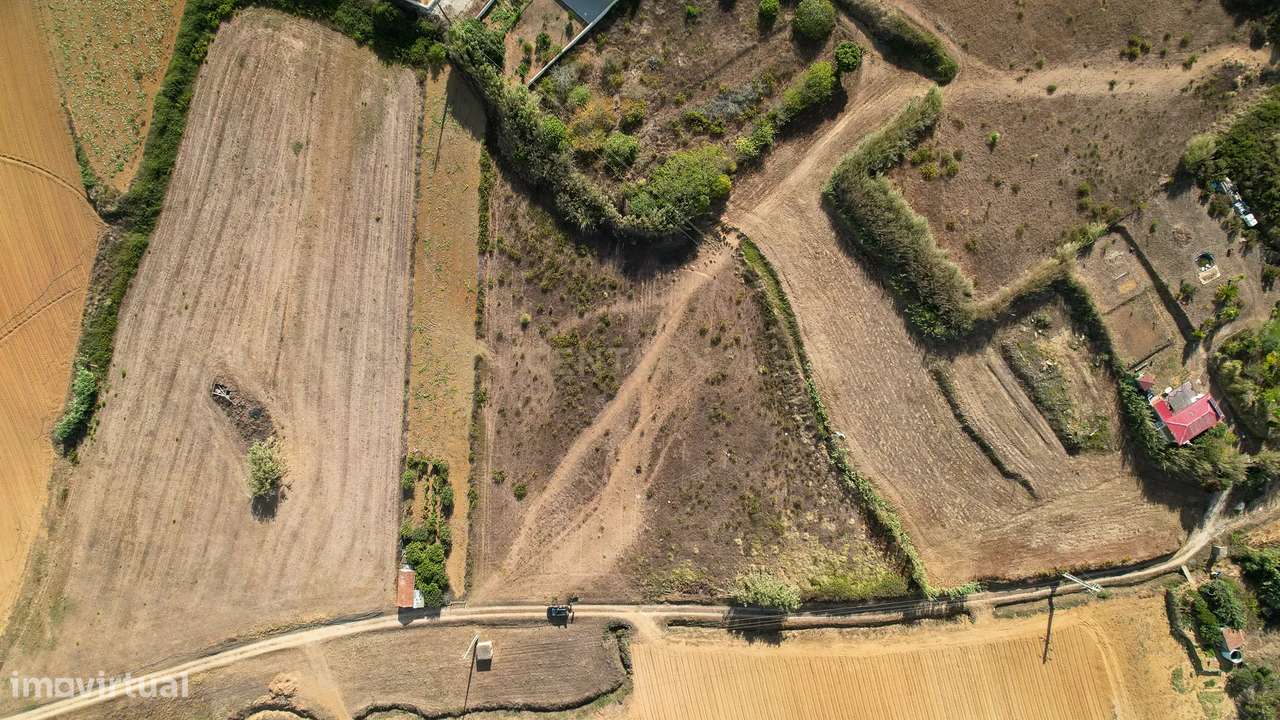 **Terreno rústico com 5920 m2  - Reguengo Pequeno - Lourinhã ** - Grande imagem: 4/8