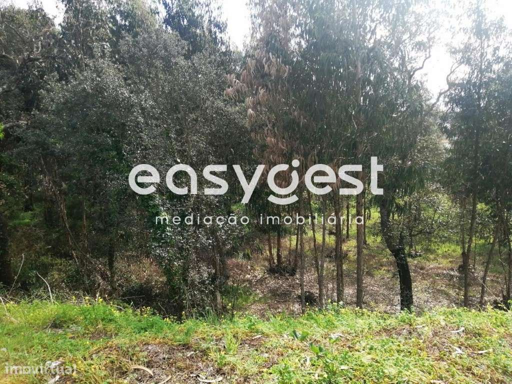 Terreno Rústico com 15812m2 com possibilidade de construção em Taveiro - Grande imagem: 4/17