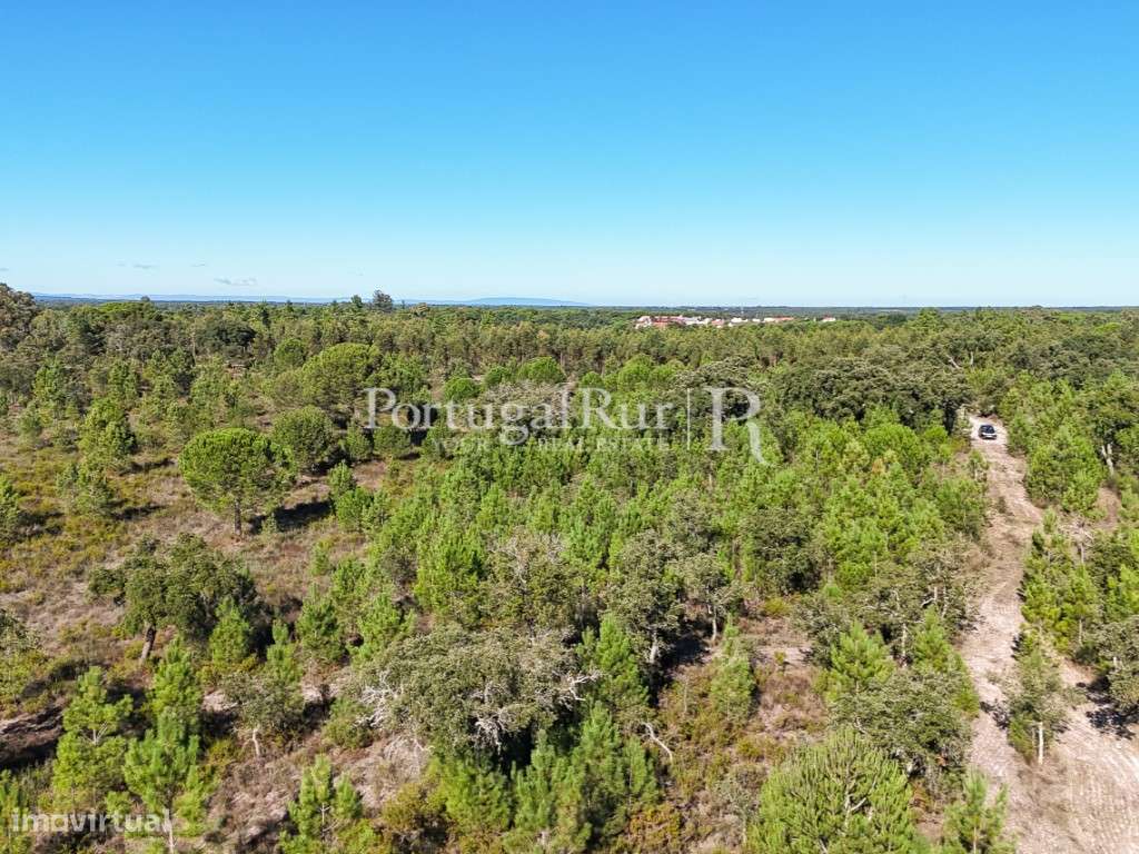 Quinta de 20ha com projeto para Turismo Rural a 1h de Lisboa-36