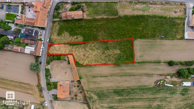 Terreno rústico com viabilidade de construção em Salreu, Estarreja-5