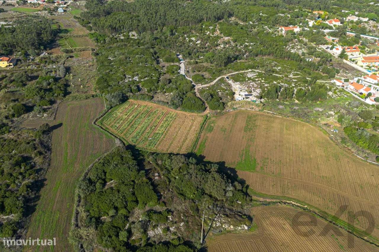 Terreno com bom potencial - Grande imagem: 3/9