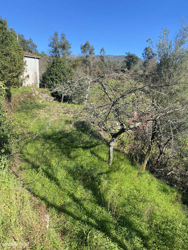 Moradia em pedra com vistas panoramicas para recontruçao. - Grande imagem: 5/8