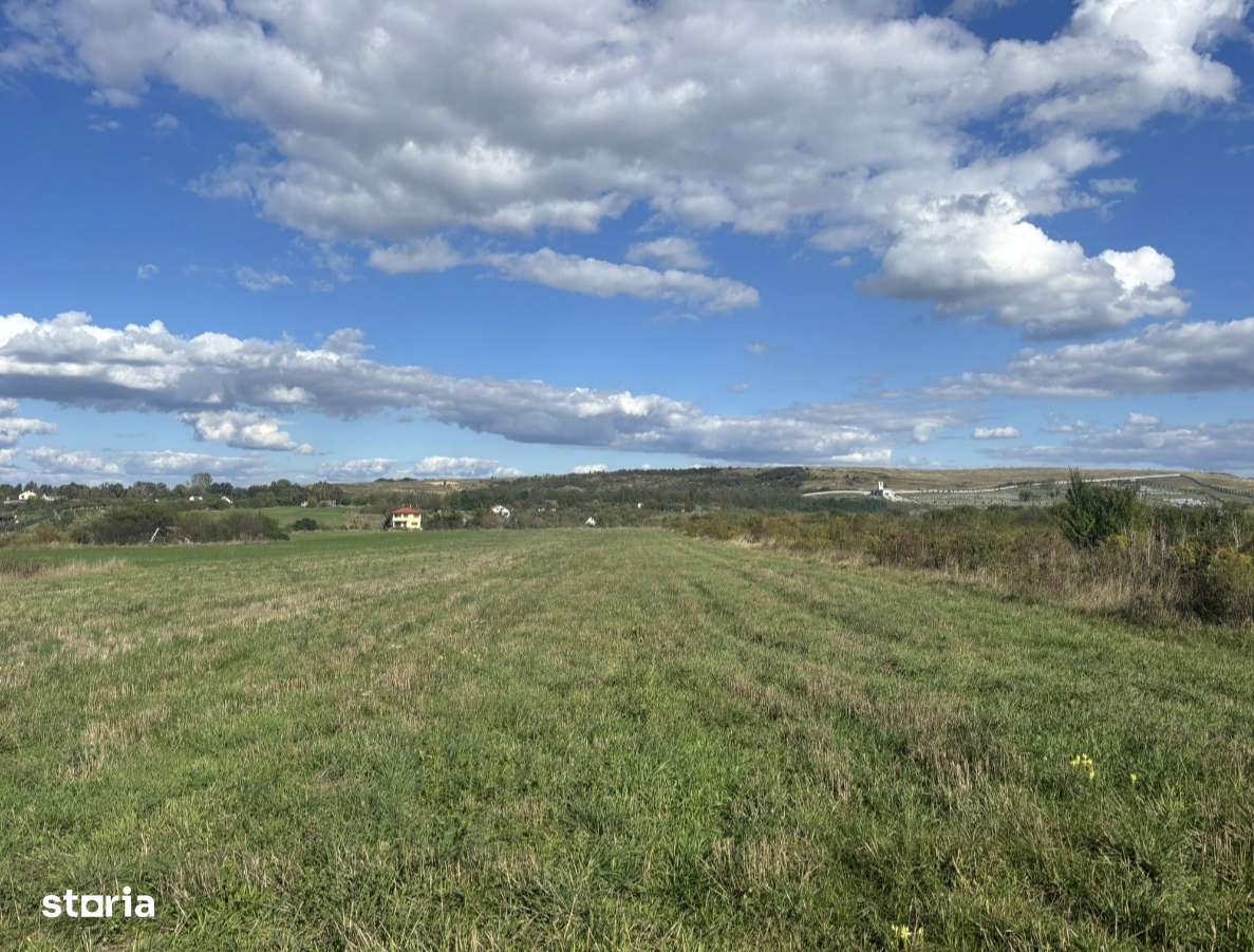 Parcele teren Sopor in PUZ-ul realizat de primăria Cluj Napoca - Imagine principală: 5/6