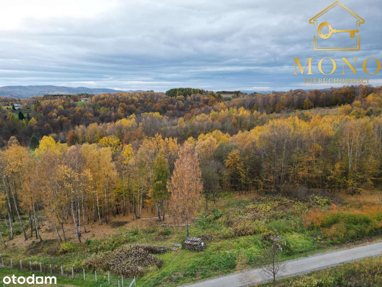 Duża, widokowa działka z lasem na terenie Pogórza Ciężkowickiego - Pełny obrazek: 5/17