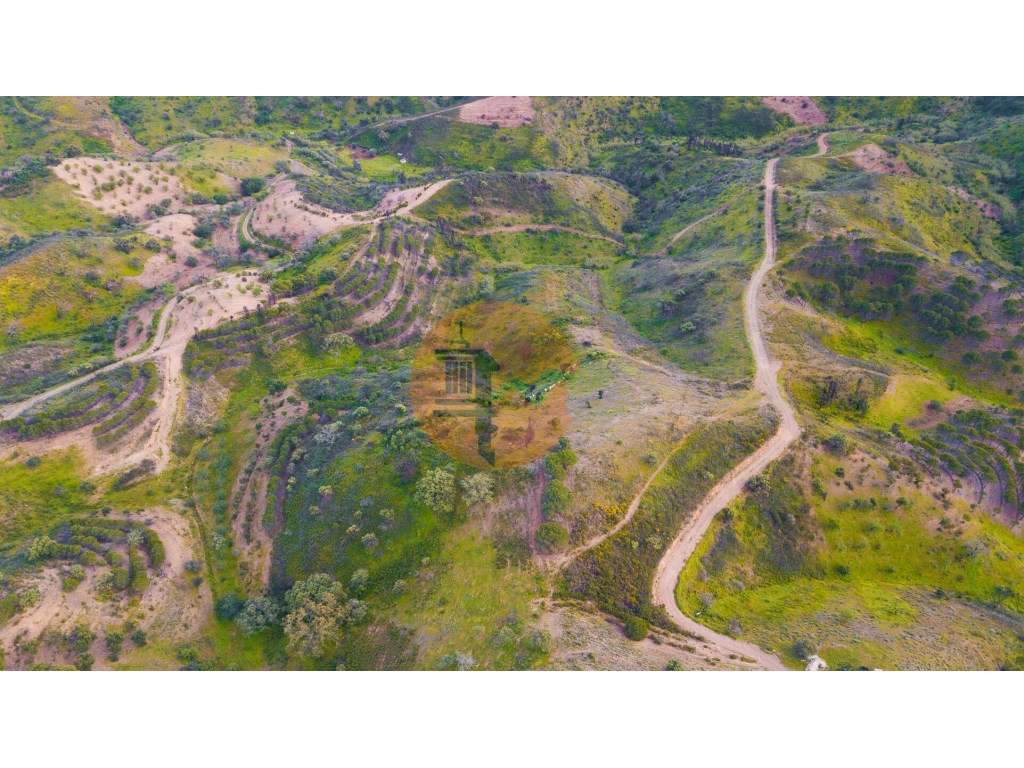 Terreno Rústico - 11840m2 - Cortelha - Azinhal - Castro Marim - Grande imagem: 5/10