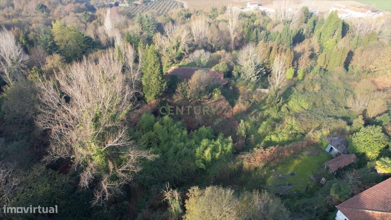 Quinta de Guadalupe / Quinta de Vila Fria – Oportunidade de Investimen - Grande imagem: 4/11