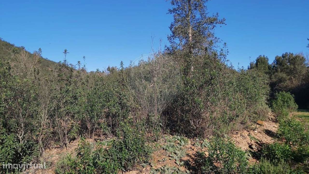 Terreno  para venda - Grande imagem: 3/10