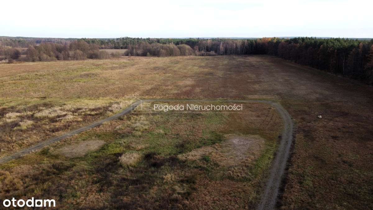 Działki na sprzedaż - Trzebule-12