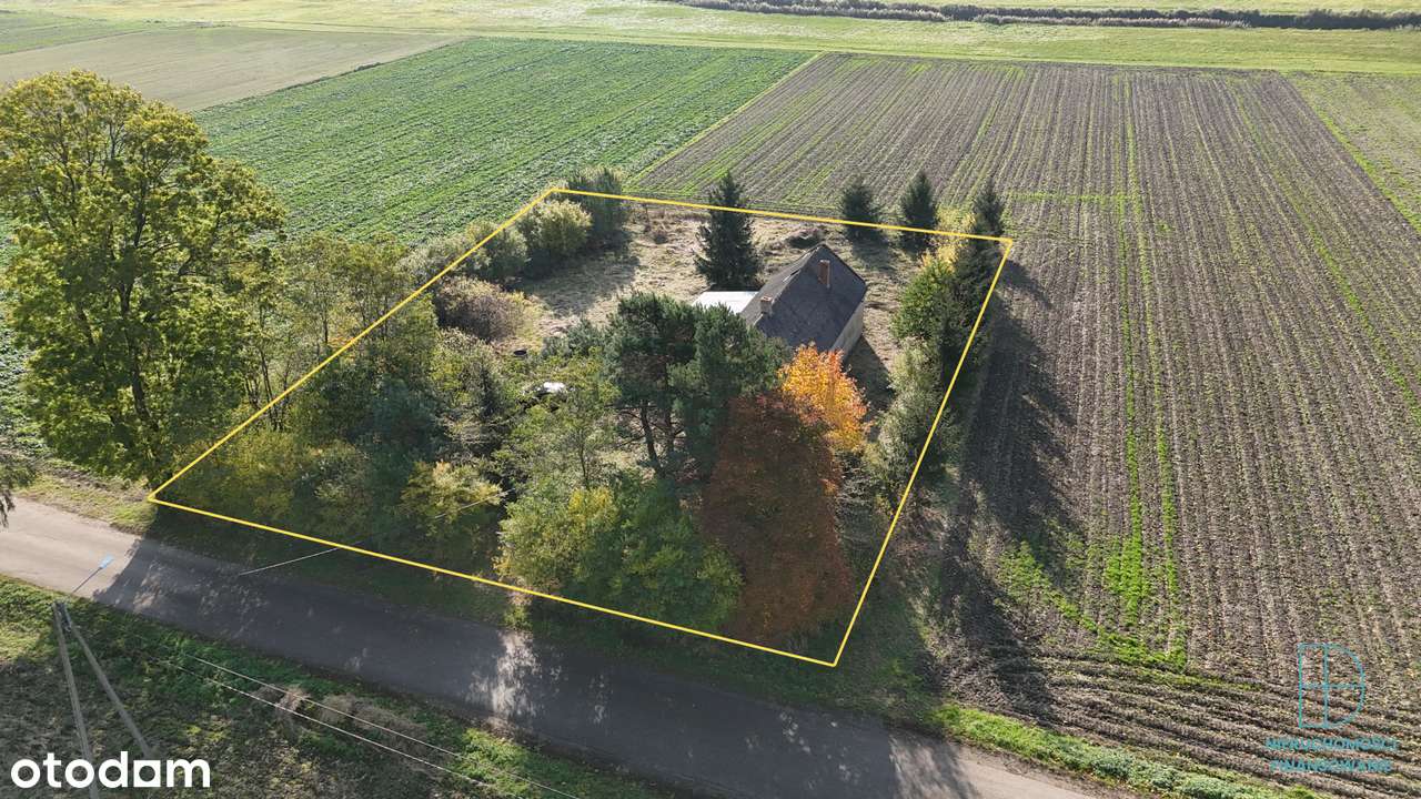 Działka z potencjałem wśród pól i zieleni – Gosławice, 2045 m²-12