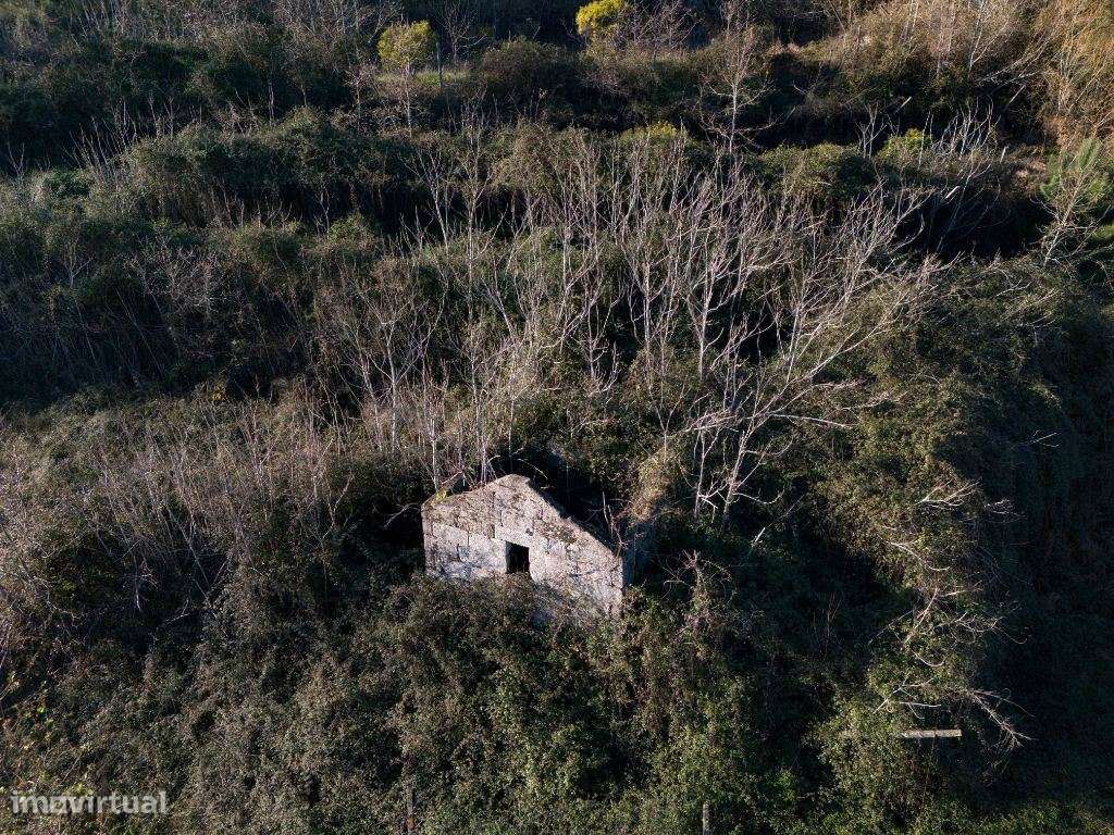Quinta de Sonho em Fregim, Amarante com vista Rio - Grande imagem: 2/14