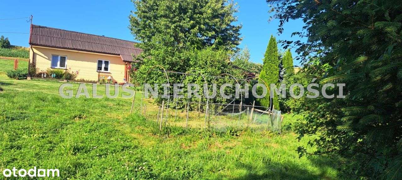 Działka rolna 2,5200 Ha i gospodarstwo-6