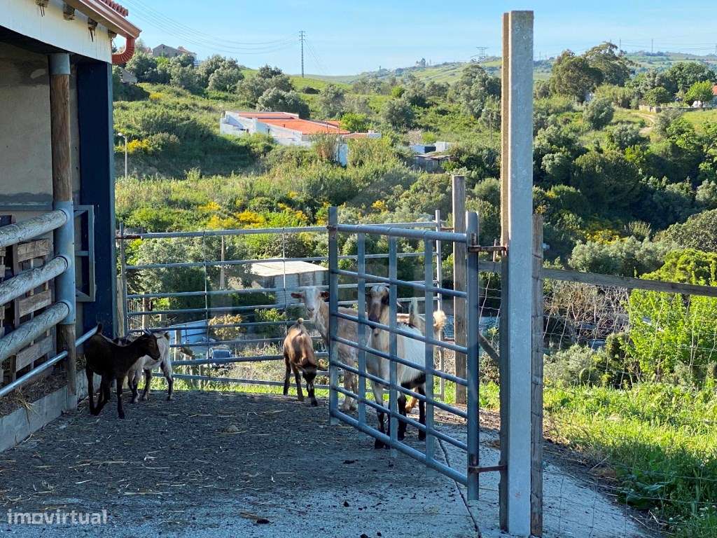 Excelente Quinta na Subserra, Alhandra - Vista Magnifica-54