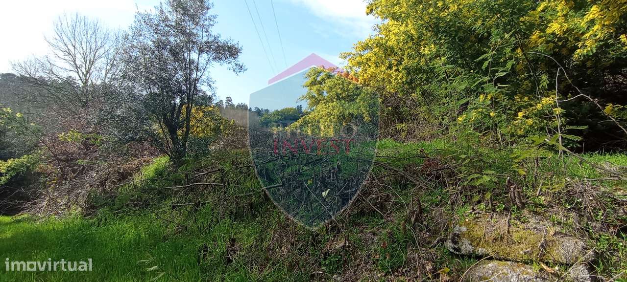 Quinta  Venda em Silgueiros,Viseu - Grande imagem: 4/19