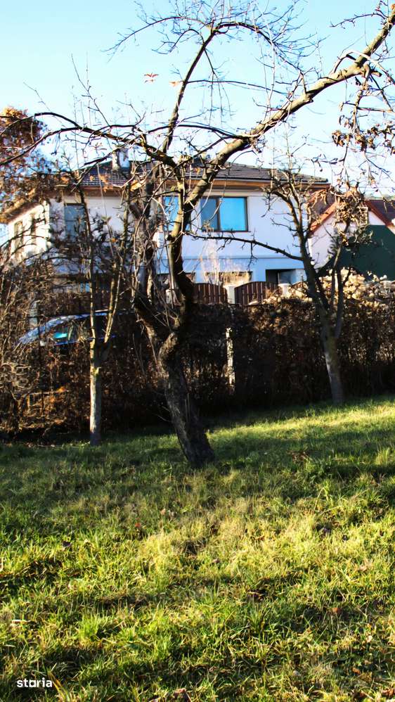 Locul în care visul tău prinde contur, teren 452 mp - Imagine principală: 5/12